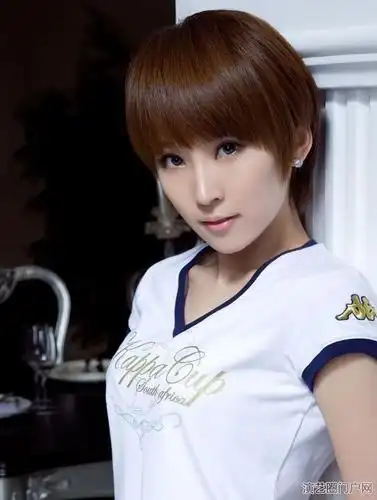 艺人谢楠个人资料