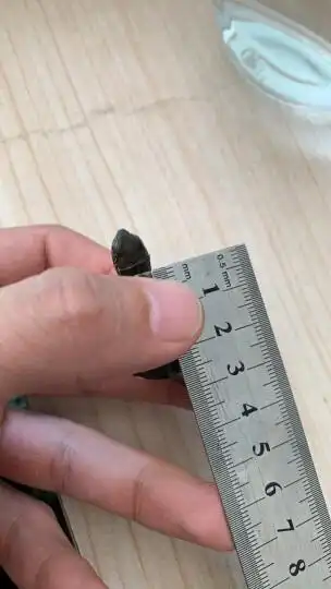 宠物活体  水族活体  福贝纯享  福贝纯享 商品评价  下单的3-4厘米