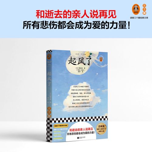起风了(和逝去的亲人说再见,悲伤都会成为爱的力量!宫崎骏电影原著!