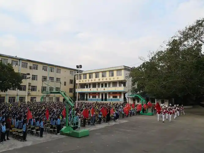 灵山县那隆镇中心小学2020年入队仪式活动精彩瞬间