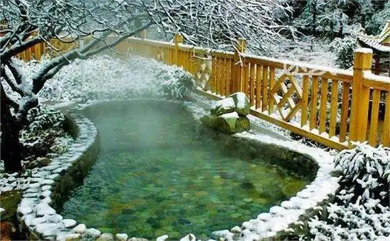 魅力中国黄山四绝奇松怪石云海温泉