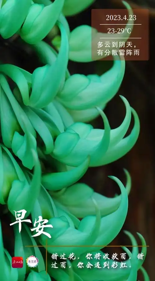 今天是4月23日,农历三月初四