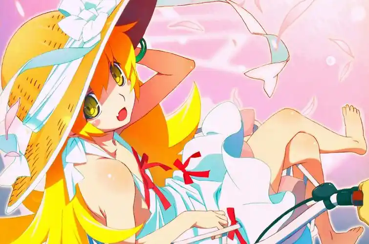 物语系列忍野忍电脑壁纸(3)