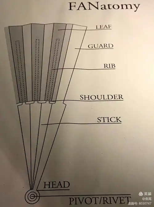 扇子的结构
