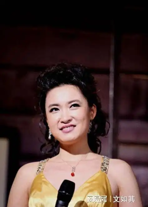 李红|天涯共此时|十二演播室|央视主持人_网易订阅