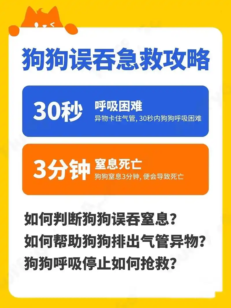 狗狗急救7215|学会这36615步 关键时刻能救狗命～#新手养狗