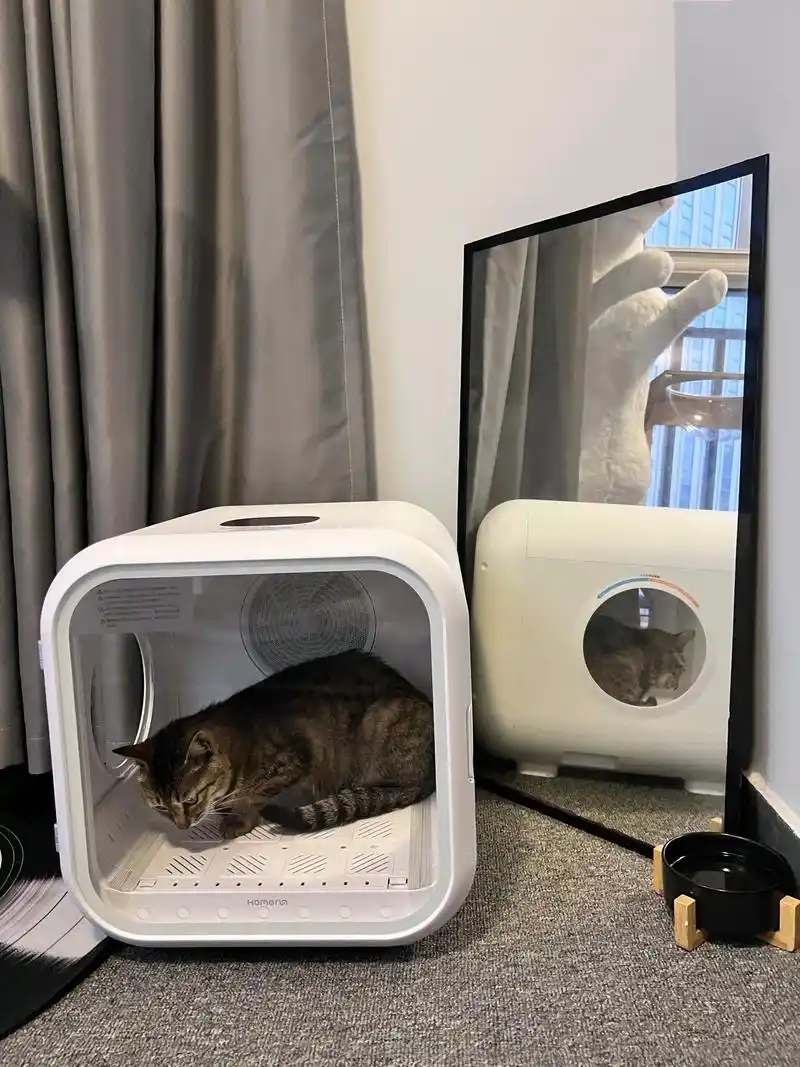 霍曼猫烘干机