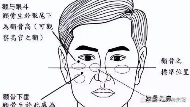 老祖宗识人术:"头生九龙骨,早晚必显贵",九龙骨是啥?准吗