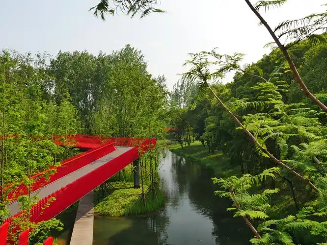 嘉兴放鹤洲公园里的网红桥观景廊桥