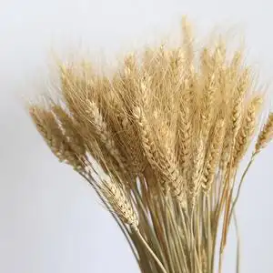 麦穗干花花艺天然花束客厅店铺展厅田园潮流艺术装饰拍摄道具