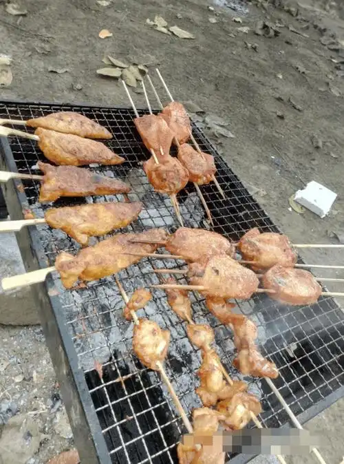 开着大美去山上烧烤