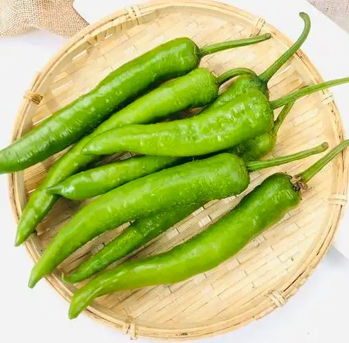 本地小青椒约400g