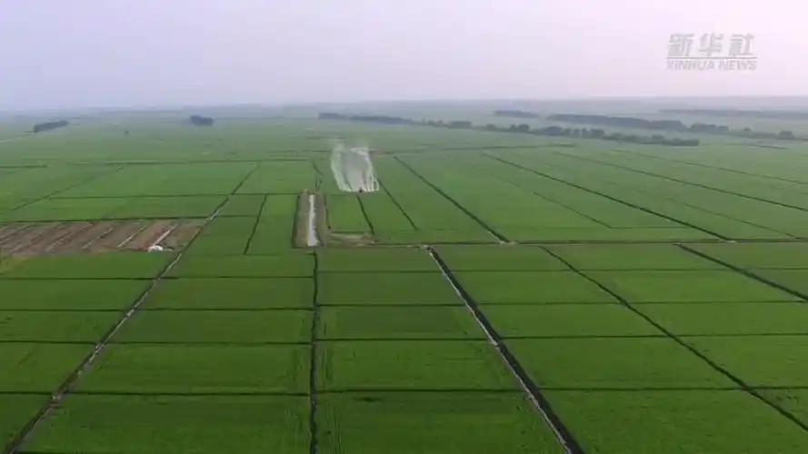震撼!看建三江千万亩水田飞机航化"无人"作业