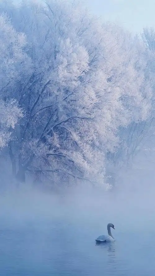 下雪的图片实景,唯美下雪壁纸(雪景壁纸,点赞收图)