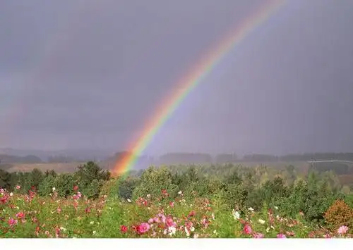 13,本来有很多很多的话,删了,然后静待心情雨过天晴.