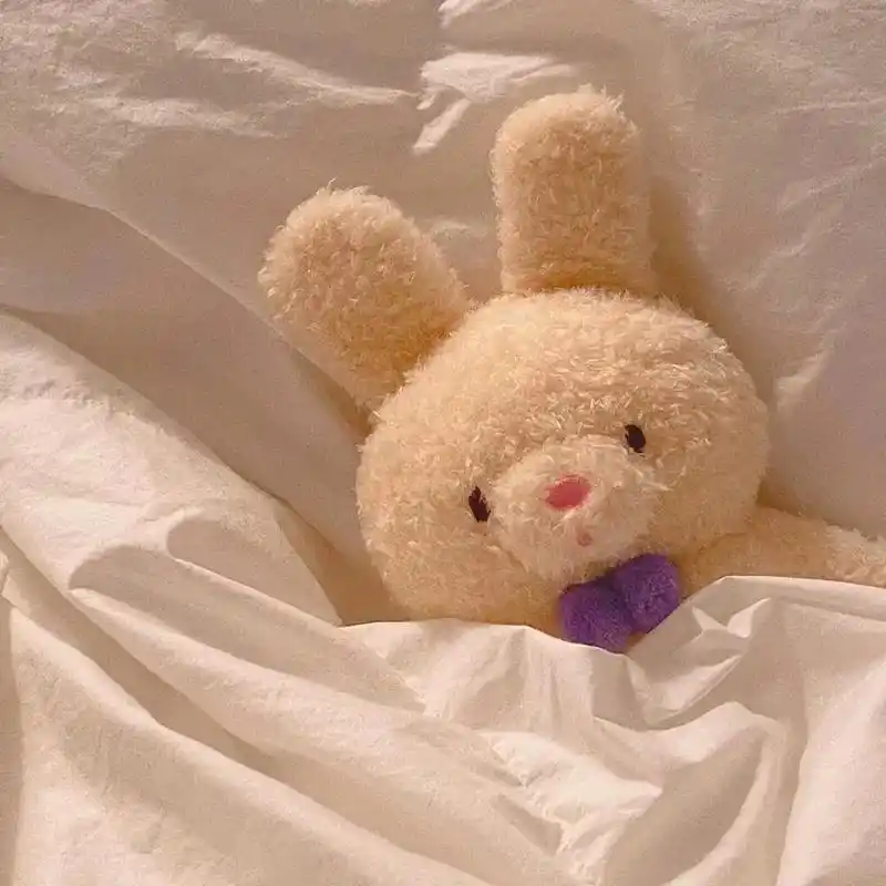 可爱的人总是发现可爱的事 #朋友圈背景图#小熊 努力且上进 - 兑趑