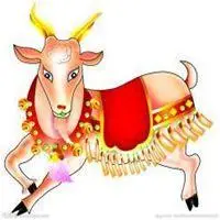 属羊本命年头像_微信头像图片大全