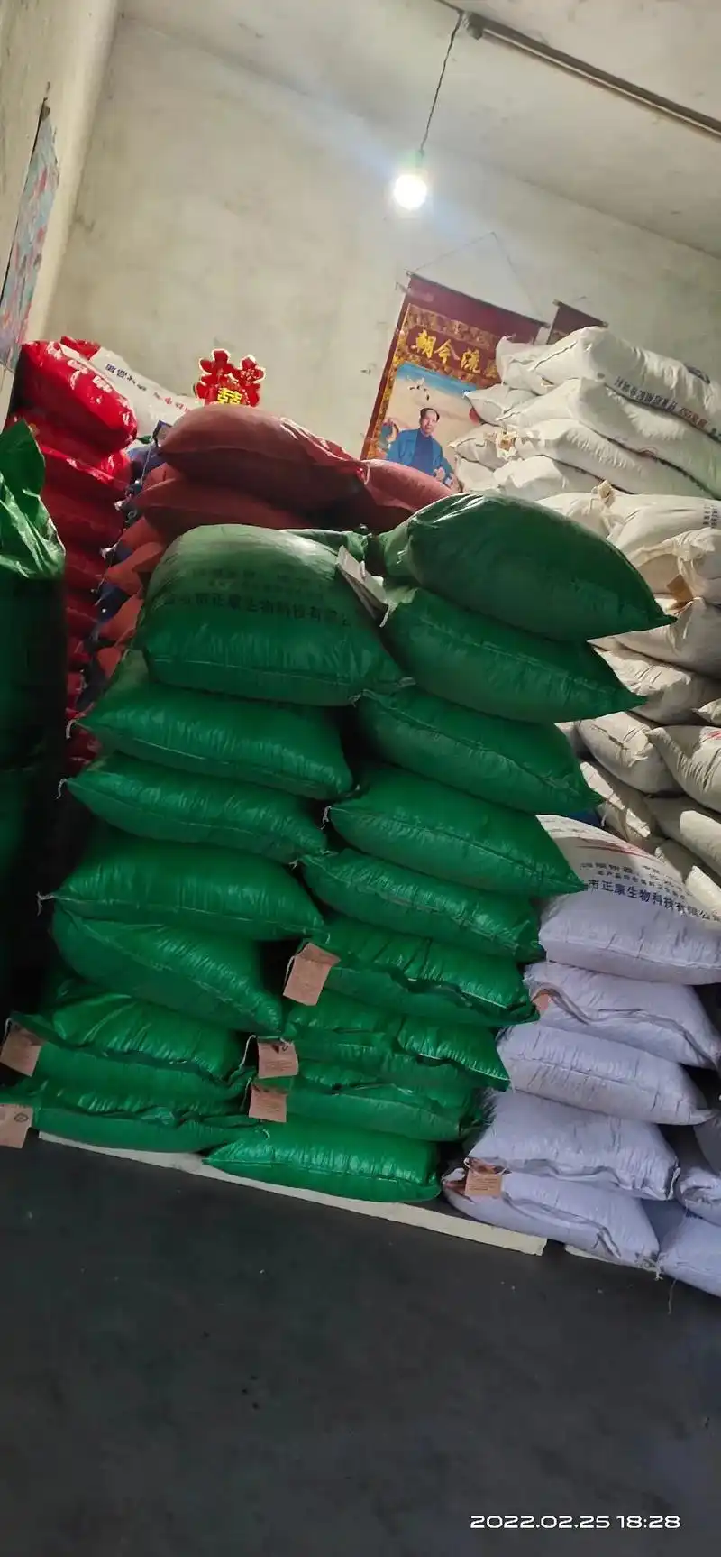 瓦子坪换气点新到优质麦皮,高品质饲料,大猪,中猪,小猪,仔猪 - 抖音