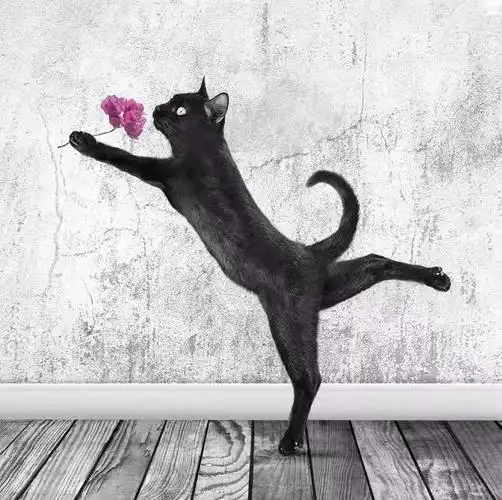 go believable学习的绘画插画课程 - 虎课网