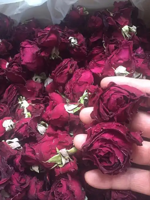 墨红玫瑰 云南食用玫瑰花干烘干冻干一朵一杯香醇浓郁500g