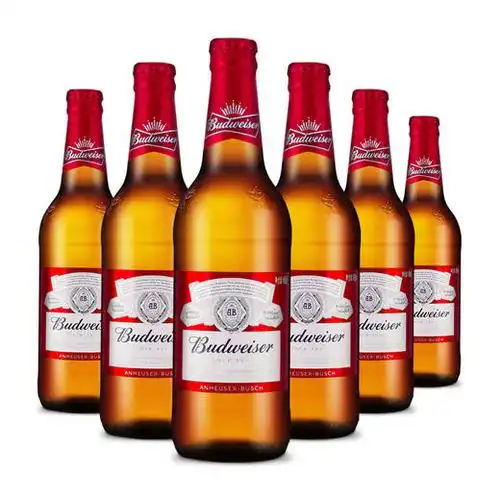 百威大支460ml(6瓶装)-南宁站