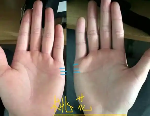 桃花运旺盛的女人手相图解桃花旺的女子手相有何特点