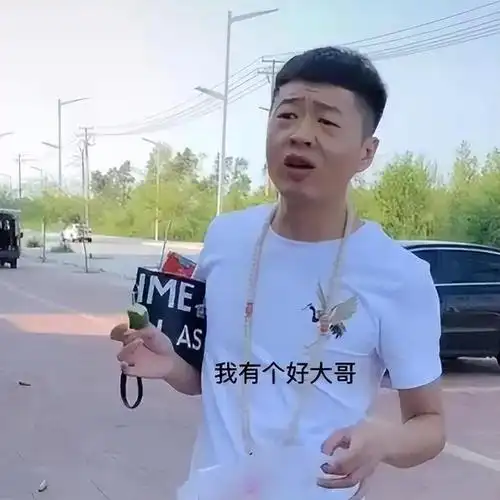 李会长:全网最牛的街溜子,拜师赵本山,演技秒杀众多