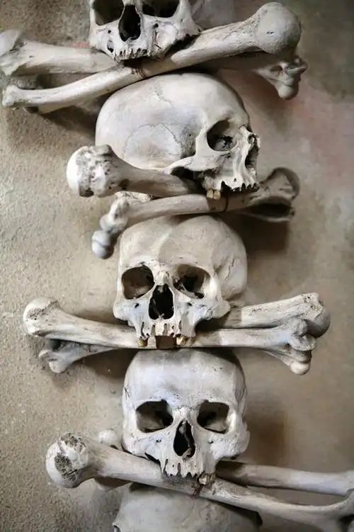 室外,白天,正面,一排,许多,整齐,骷髅,墙,骨头,墙壁,墙面,排列,死亡