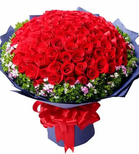 满载幸福-99朵红玫瑰,外围相思梅/黄莺点缀
