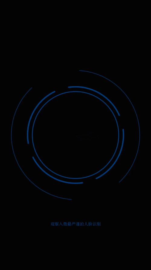 人脸识别待机画面