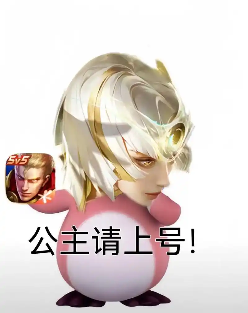 公主喜欢什么宝宝啊#王者荣耀#王者 #王者荣耀表情包 #游戏 - 抖音