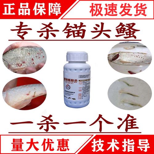 博晟洋锚头鳋专用鱼用鲫鱼草鱼红点锚头蚤克星一次净铁锚虫中华鳋非鱼
