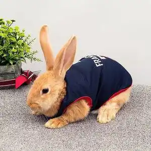 小兔子衣服夏季薄款用品宠物兔衣服服饰垂耳兔兔侏儒兔裙子超小号