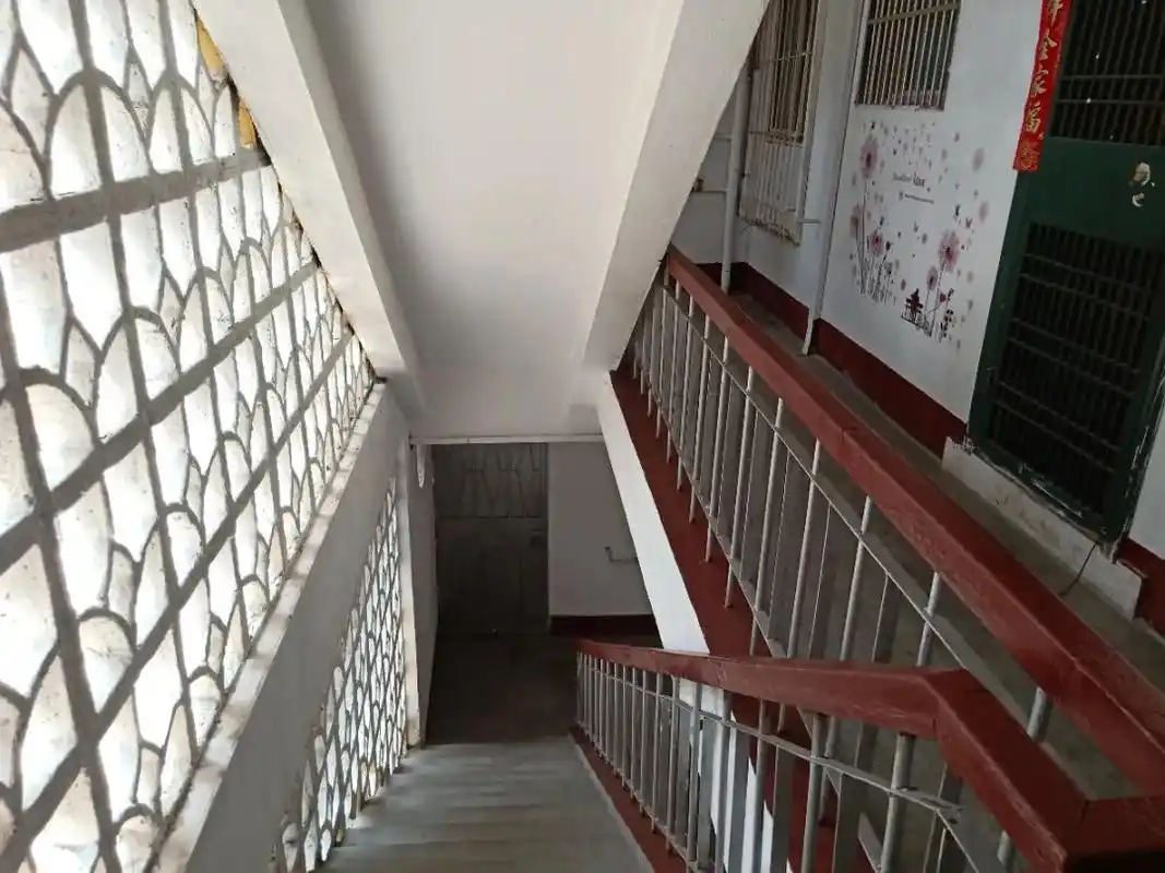 楼道革命标杆原来老旧小区也可以这么美