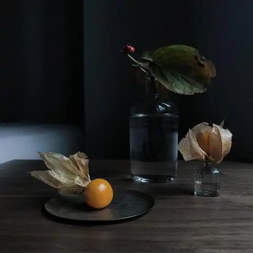 午后光影给花果加上静物画的滤镜洗眼