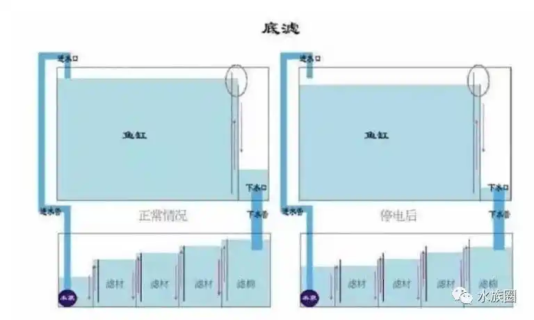 鱼缸底滤系统原理(最烧脑的过滤体系) - misswu 的回帖 - 鱼水圈