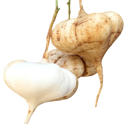 白地瓜吃多了会不会便秘答案在这里