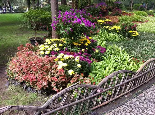 在花镜边缘打造一些精致的小型植物组合,增加层次感