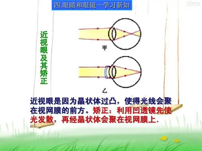 眼镜-学习新知 近 视 眼 及 其 矫 正 近视眼是因为晶状体过凸,使得