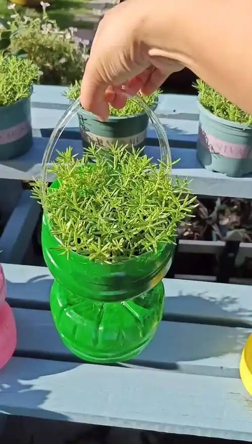 矿泉水瓶变花篮