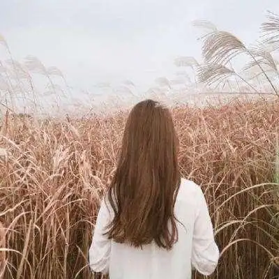 微信头像女生背影侧面,女生微信头像背影-图片大观-奇异网