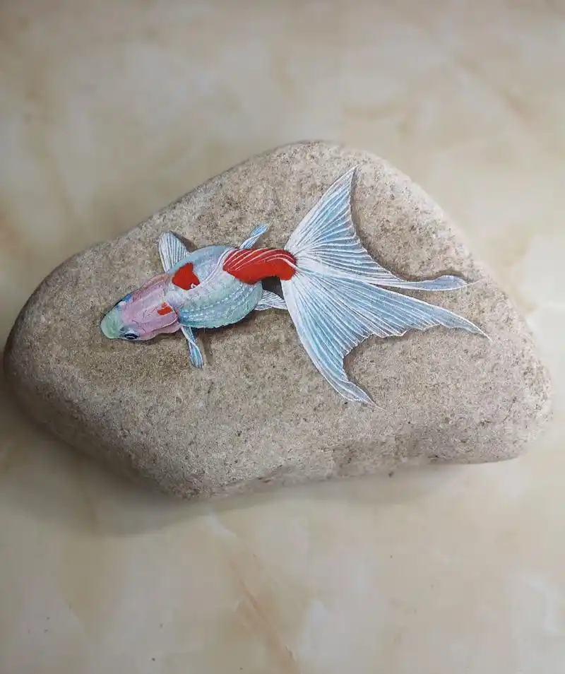 画在石头上的鱼
