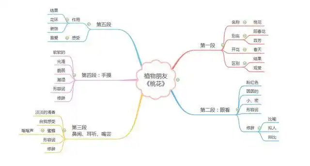 大白老师今天带领孩子用画思维导