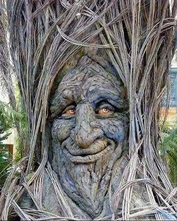 恐怖食人树!吃人竟只吐骨头