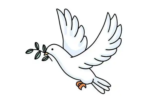 简单又好看的和平鸽简笔画画法