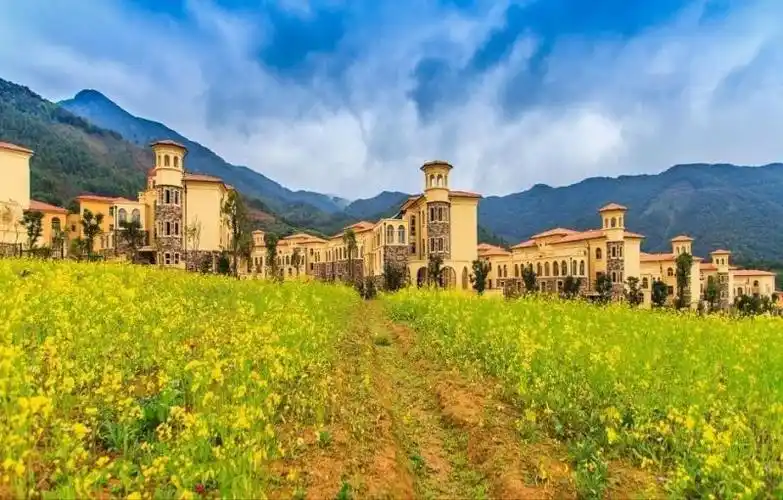 十里蓝山联排别墅中间套靠花海