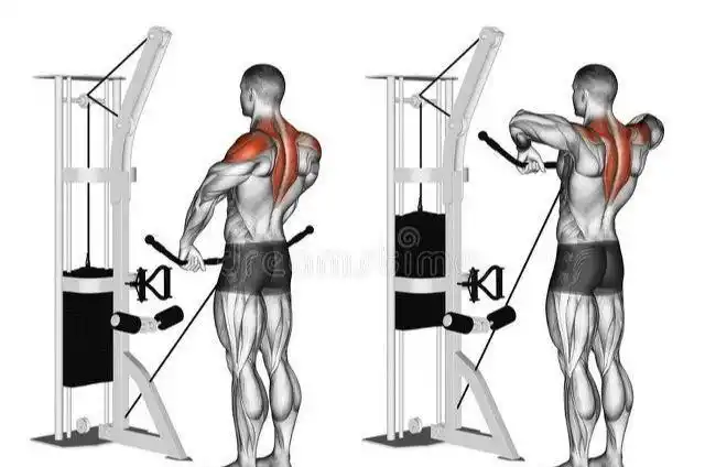 杠铃直立划船的3个变式动作改善肩部不适轻松练厚三角肌中束