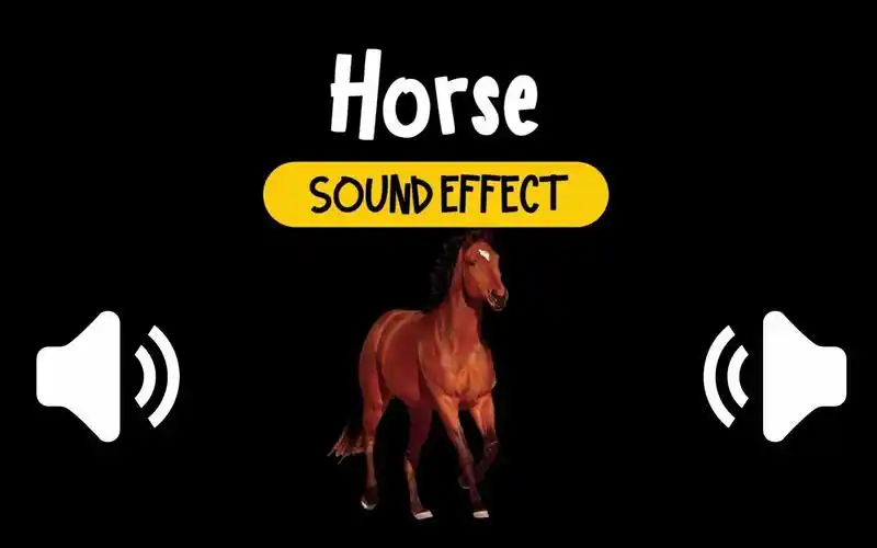 马 叫声 动物 音效 (hq)