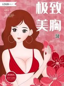 原创手绘丰胸美胸整容内衣促销海报