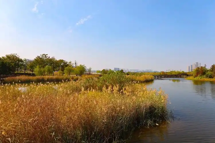 zol论坛>摄影论坛>摄影作品论坛>自然风景论坛>松雅湖湿地公园10>